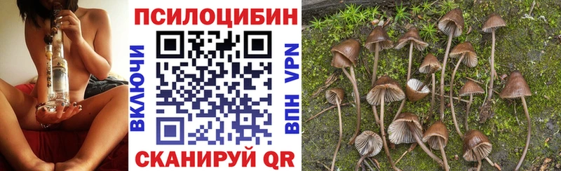 где купить наркоту  Меленки  Псилоцибиновые грибы GOLDEN TEACHER 